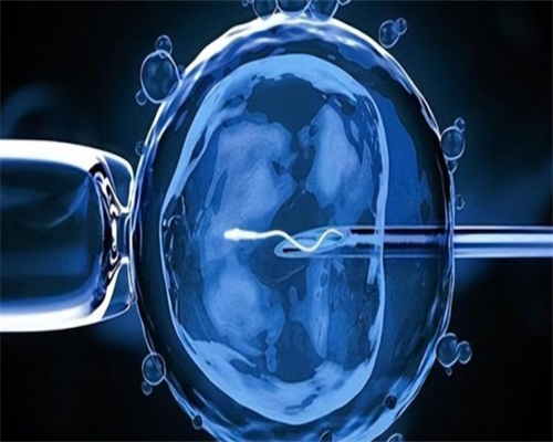 供卵助孕费用全解析：明细清单与省钱秘诀