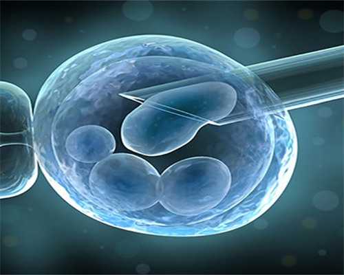 供卵机构：现状、问题与未来展望