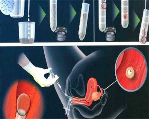 试管助孕必看：供卵者健康管理体系深度解析与代怀选择