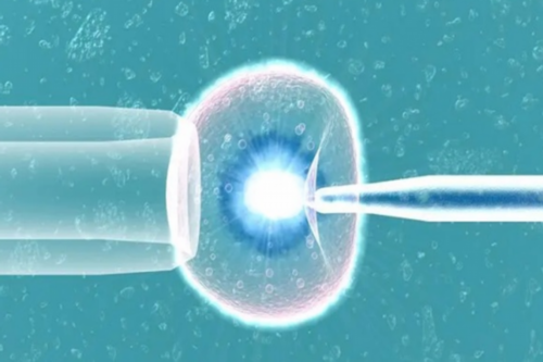 探秘AI助孕：算法代怀技术、市场定价与争议焦点