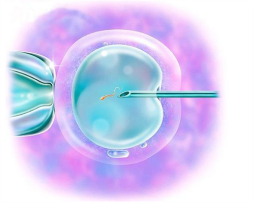 跨境供卵助孕服务：流程、优势与风险深度解析